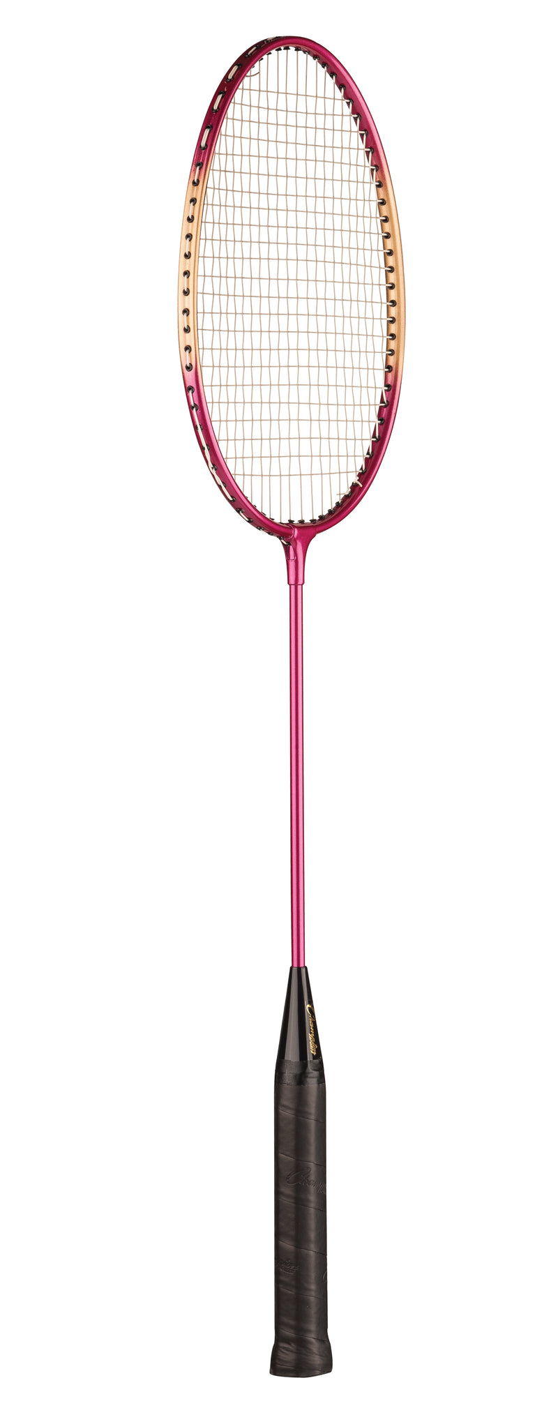 Champion sports badminton store racket