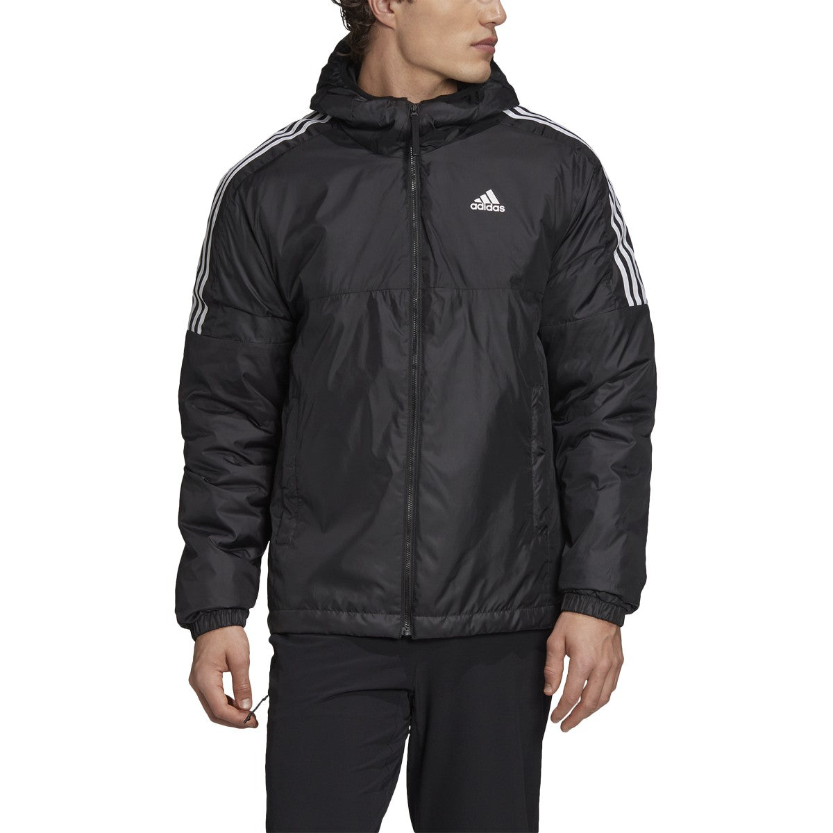 Adidas essentials insulated hooded jacket online