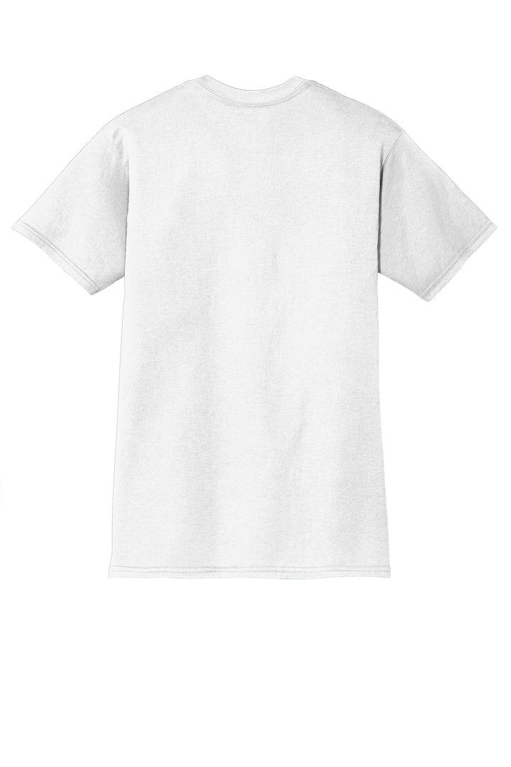 Hanes Men's X-Temp T-Shirt 4200 Hanes